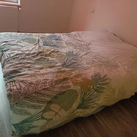 Maison De 3 Avec Jacuzzi Balcon Et Wifi A Balbronn Отель 3*